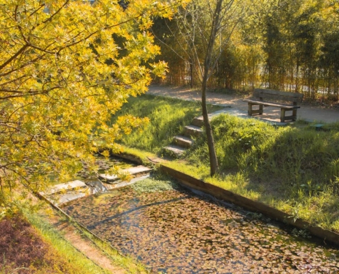 2 673 espèces dans un seul jardin : la nature près de chez toi !