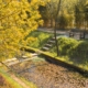 2 673 espèces dans un seul jardin : la nature près de chez toi !