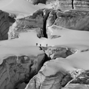 Les géants survivants de l'âge de glace vivent encore en Norvège
