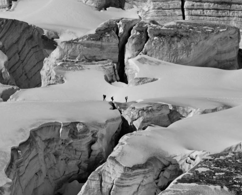 Les géants survivants de l'âge de glace vivent encore en Norvège