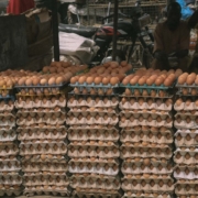 Pourquoi les œufs disparaissent-ils des supermarchés ?