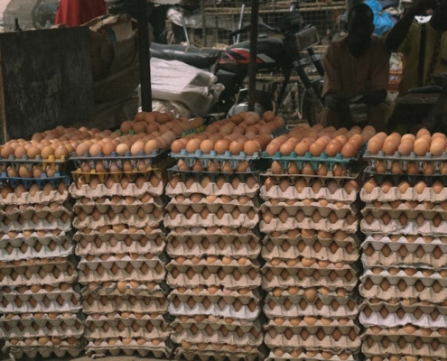 Pourquoi les œufs disparaissent-ils des supermarchés ?