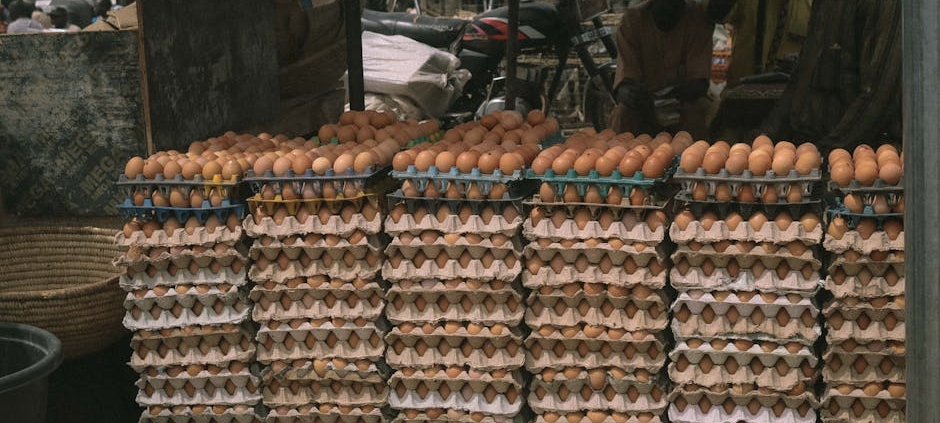 Pourquoi les œufs disparaissent-ils des supermarchés ?