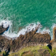 Un "monstre des mers" géant découvert par les scientifiques !