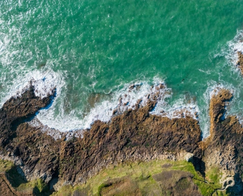 Un "monstre des mers" géant découvert par les scientifiques !