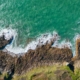 Un "monstre des mers" géant découvert par les scientifiques !