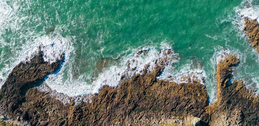 Un "monstre des mers" géant découvert par les scientifiques !